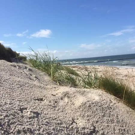 Zum Sanddorn * Saal