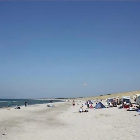 Zum Sanddorn